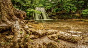 Janet’s Foss in North Yorkshire,